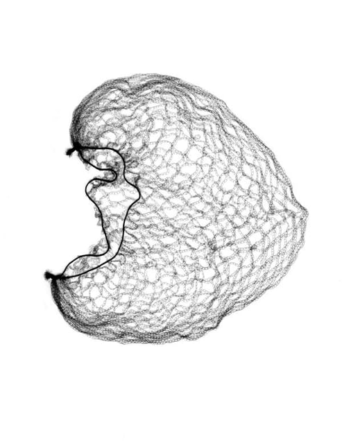 Remains of the Day © Elaine Duigenan