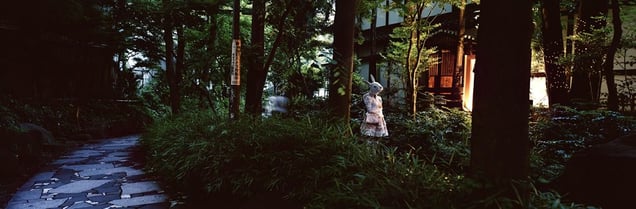 From the series Okurimono © Christian Houge