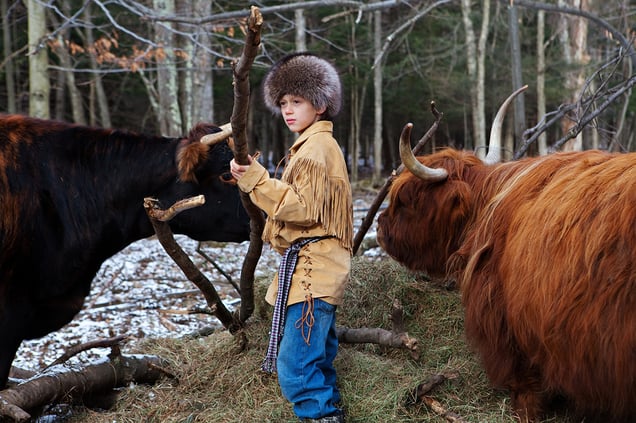 Roan Cows