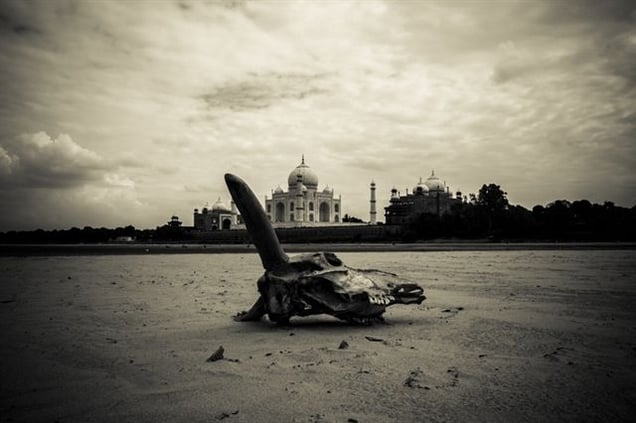 Avnish Kumar, India. Shortlist, Youth Competition. 2014 Sony World Photography Awards