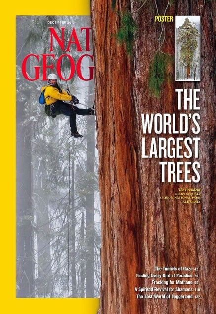 "The World's Largest Trees." Cover, December 2012.