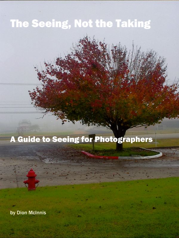 The Seeing, Not the Taking:  A guide to seeing for photographers
