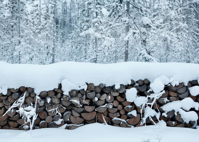 To cope with the freezing weather, buildings need to be heated twice a day, which keeps inhabitants busy chopping wood,