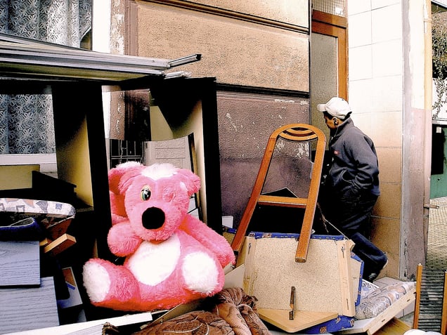 "THE SECRETS OF STUFFED ANIMAL EVOLUTION" "DIE  GEHEIMNISSE DER STOFFTIEREVOLUTION"
