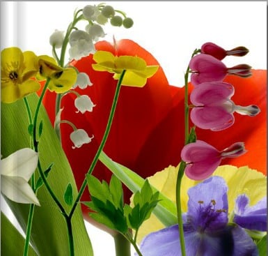 bouquet