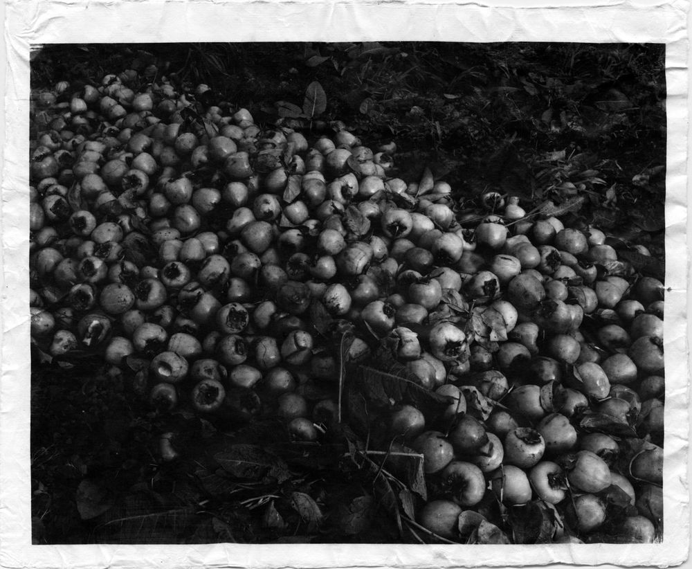In Silence and In Sorrow - Photographs by Uma Kinoshita | LensCulture
