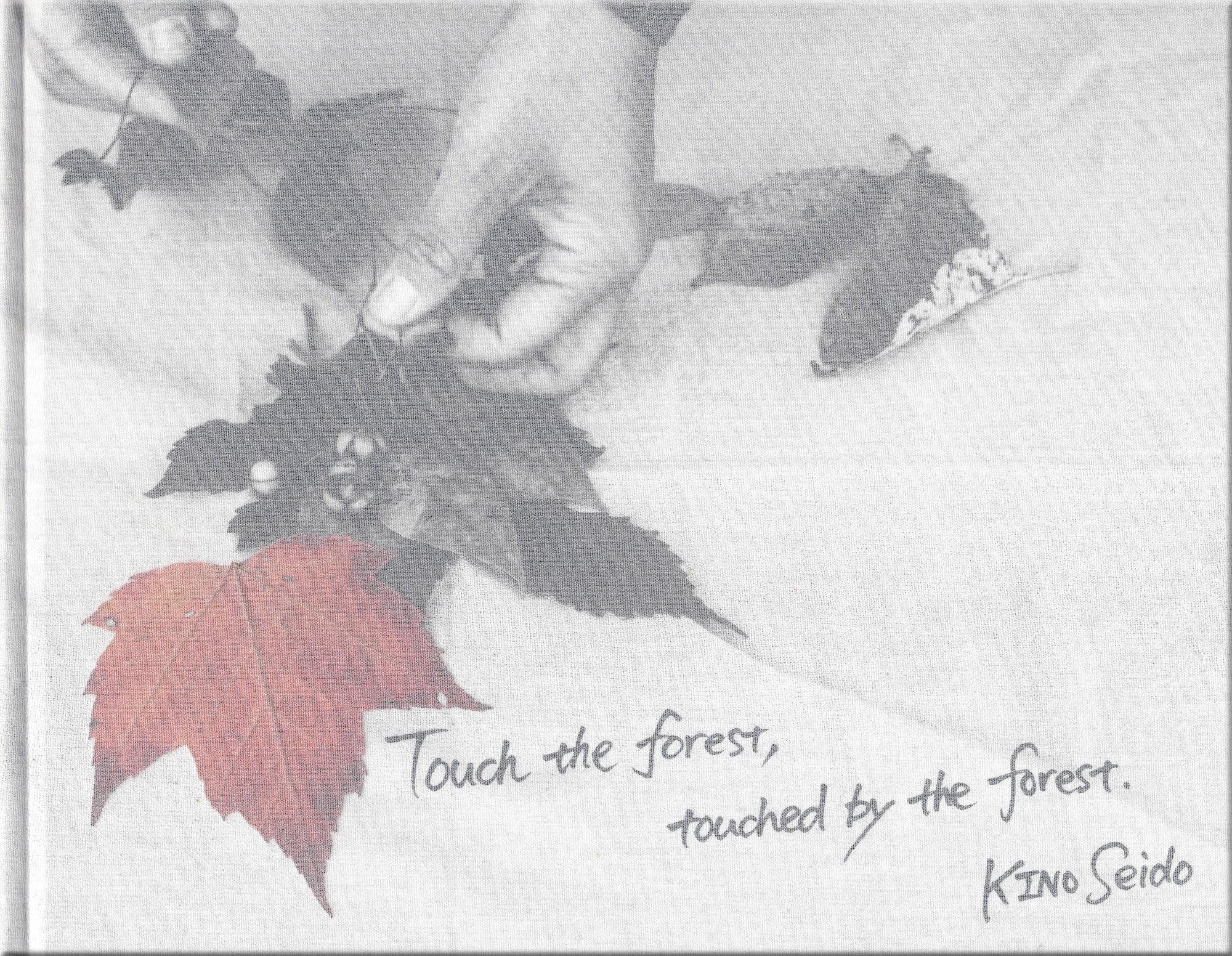 Touch the forest, touched by the forest.