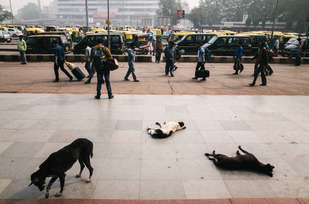 New Delhi station, India, 2016