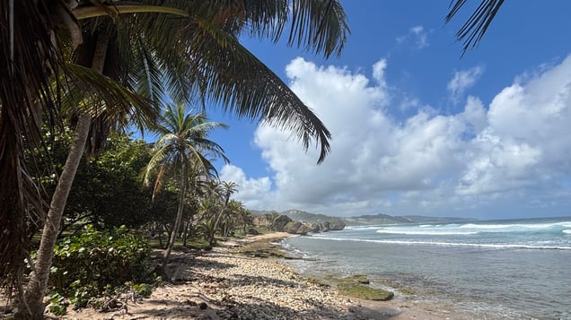 Bathsheba Park, Barbados