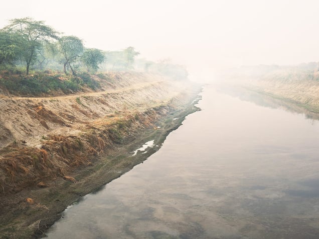 Water, earth, trees, humans and space, 2013