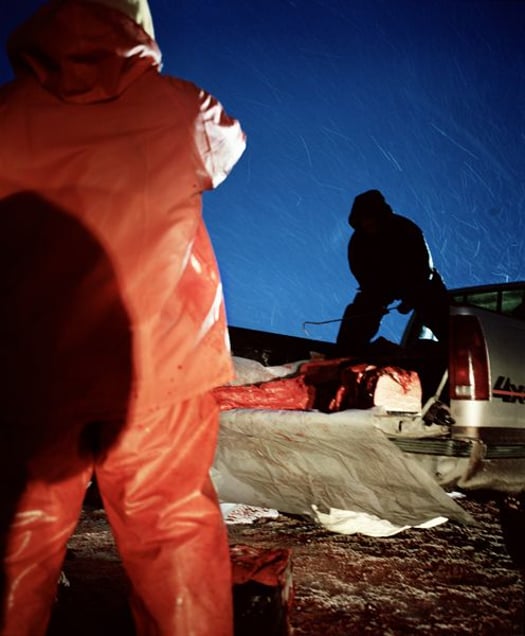 © Jeroen Toirkens, from the book Nomad, published by Lannoo