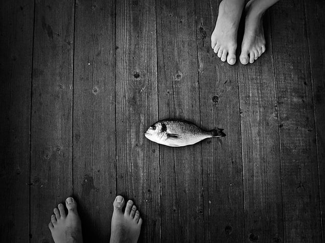 fisherman next friend