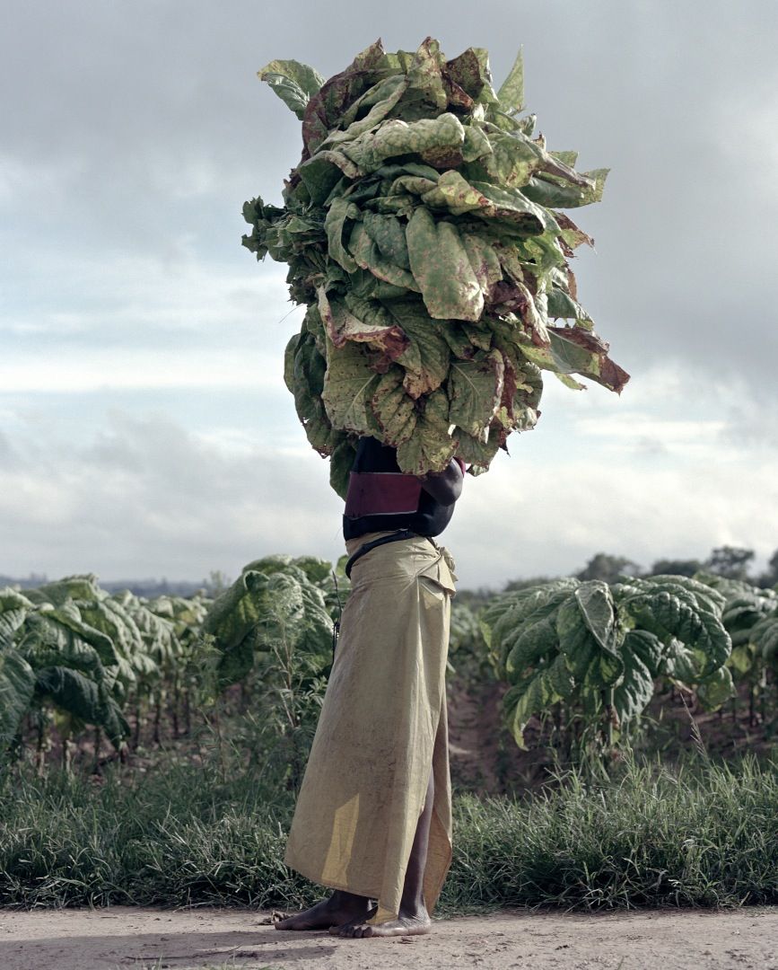 Terrain - Photographs byJackie Nickerson | LensCulture