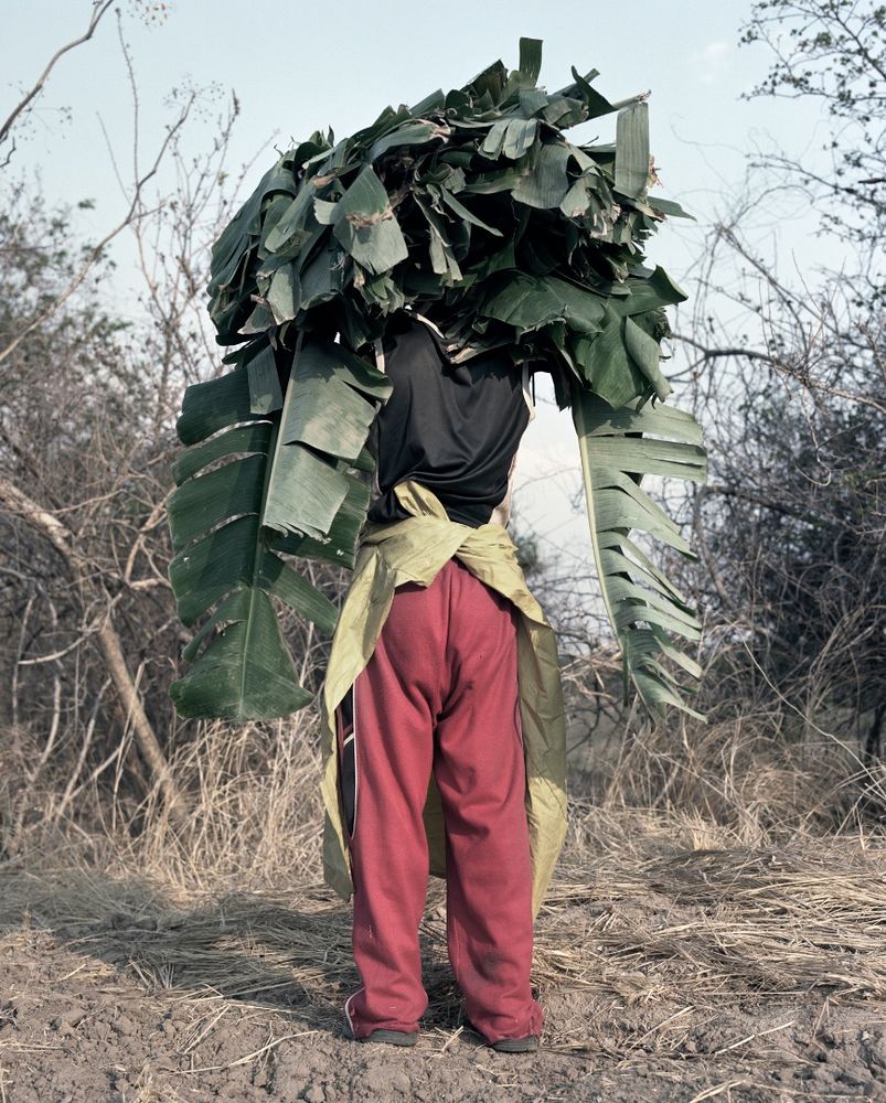 Terrain - Photographs byJackie Nickerson | LensCulture