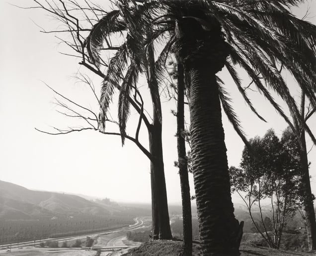 Edge of San Timoteo Canyon, Redlands, California © Robert Adams, Jeu de Paume