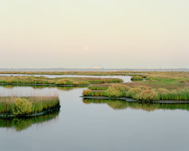 La Grande Motte – depuis Mauguio – 2022