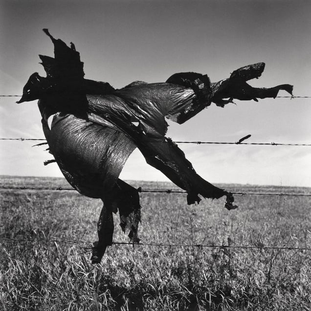 Snag #3 - Trans-Canada Highway, Gleichen, AB, Canada