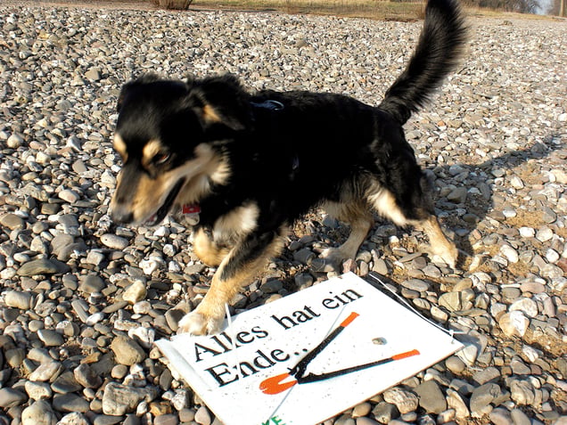 "EVERYTHING HAS AN END: BUT THE SAUSSIGE HAS TWO" "ALLES HAT EIN ENDE NUR DIE WURST HAT ZWEI"