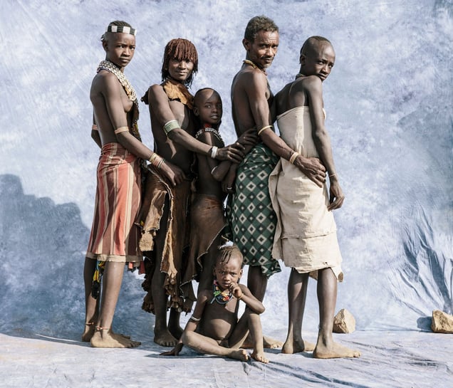 Hamar Family  Fig. VI