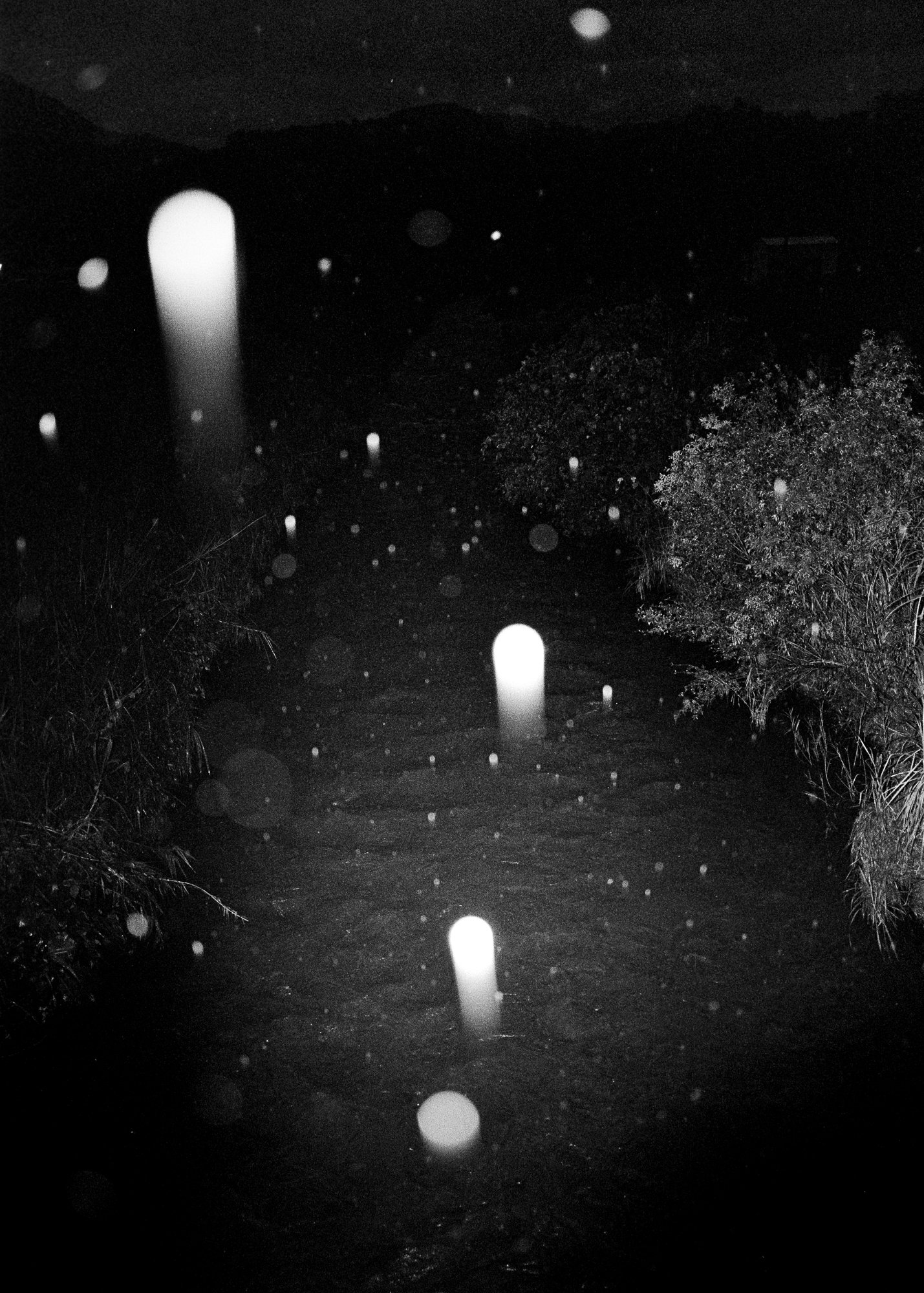 winner of photography awards