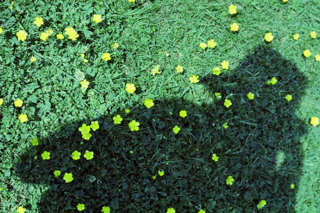 Untitled, Chicago, IL, 1975 © Vivian Maier/John Maloof Collection. Courtesy Howard Greenberg Gallery, New York