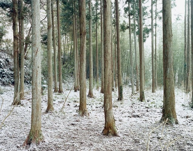 © Andrew Phelps, from the book "Not Niigata"