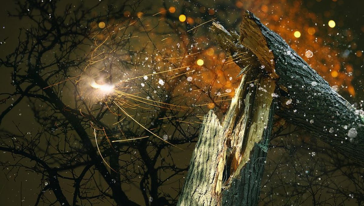 Before the Echo  © Lisa DiLillo