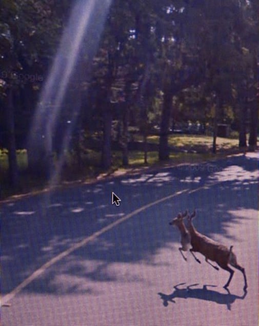 From "A Series of Unfortunate Events" discovered on Google Street View. Photographs © Michael Wolf