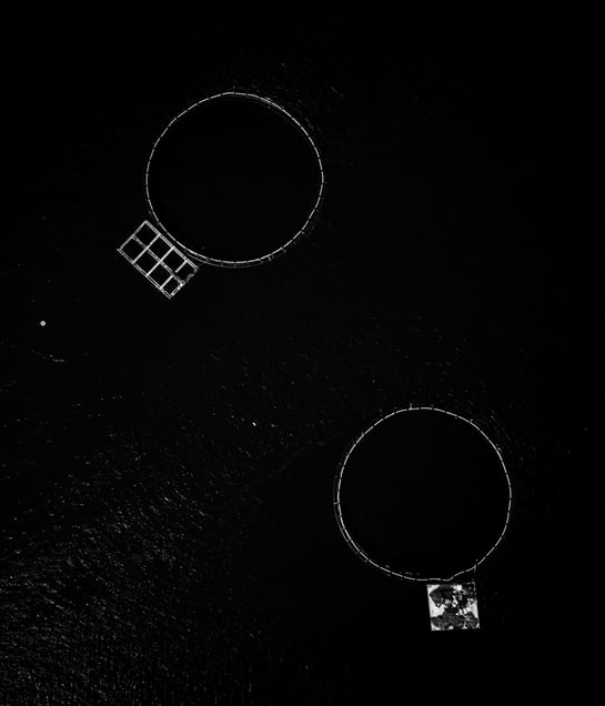 Void and Vessel Structure #4