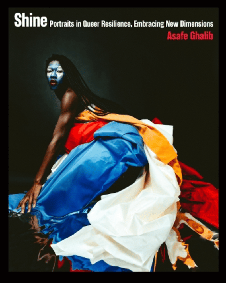 Shine: Portraits in Queer Resilience, Embracing New Dimensions