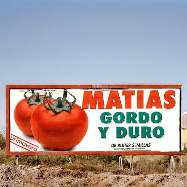 "Matias. Spring. Thick and Hard. De Ruiter Seeds". San Isidro, Ní­jar. © Reinaldo Loureiro
