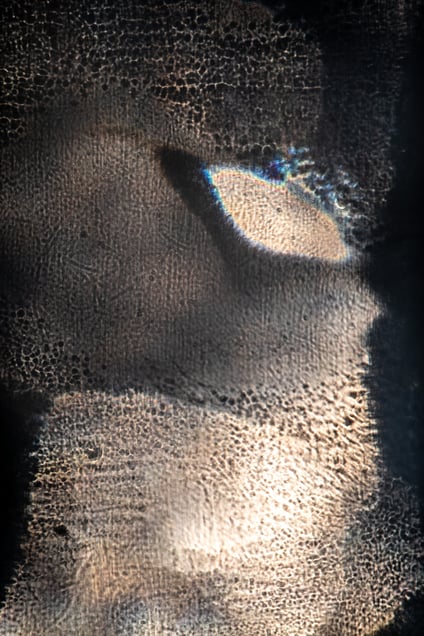 Features of Light 8