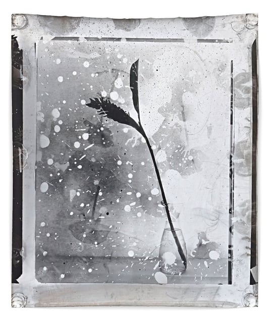 Nature Morte 23, 2012, 159 x 127 cm, Silver Gelatin Print, Mixed Media © Jeff Cowen