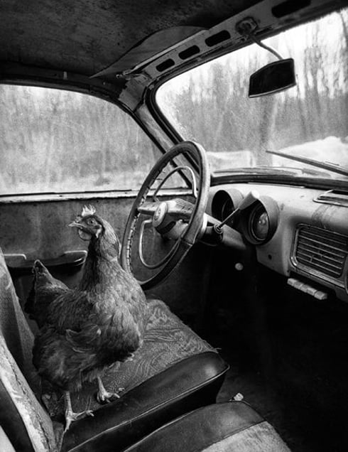 Szendrolad, 1993 © Gyorgy Stalter