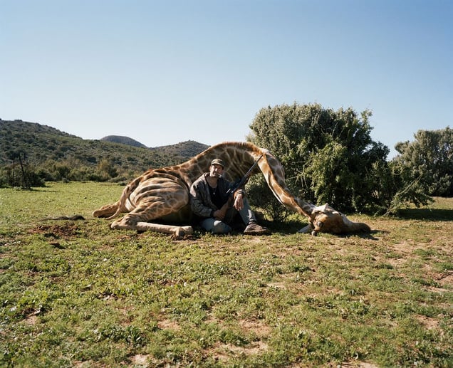 hunter with giraffe, ladysmith, south africa-from the series 'hunters'-David Chancellor