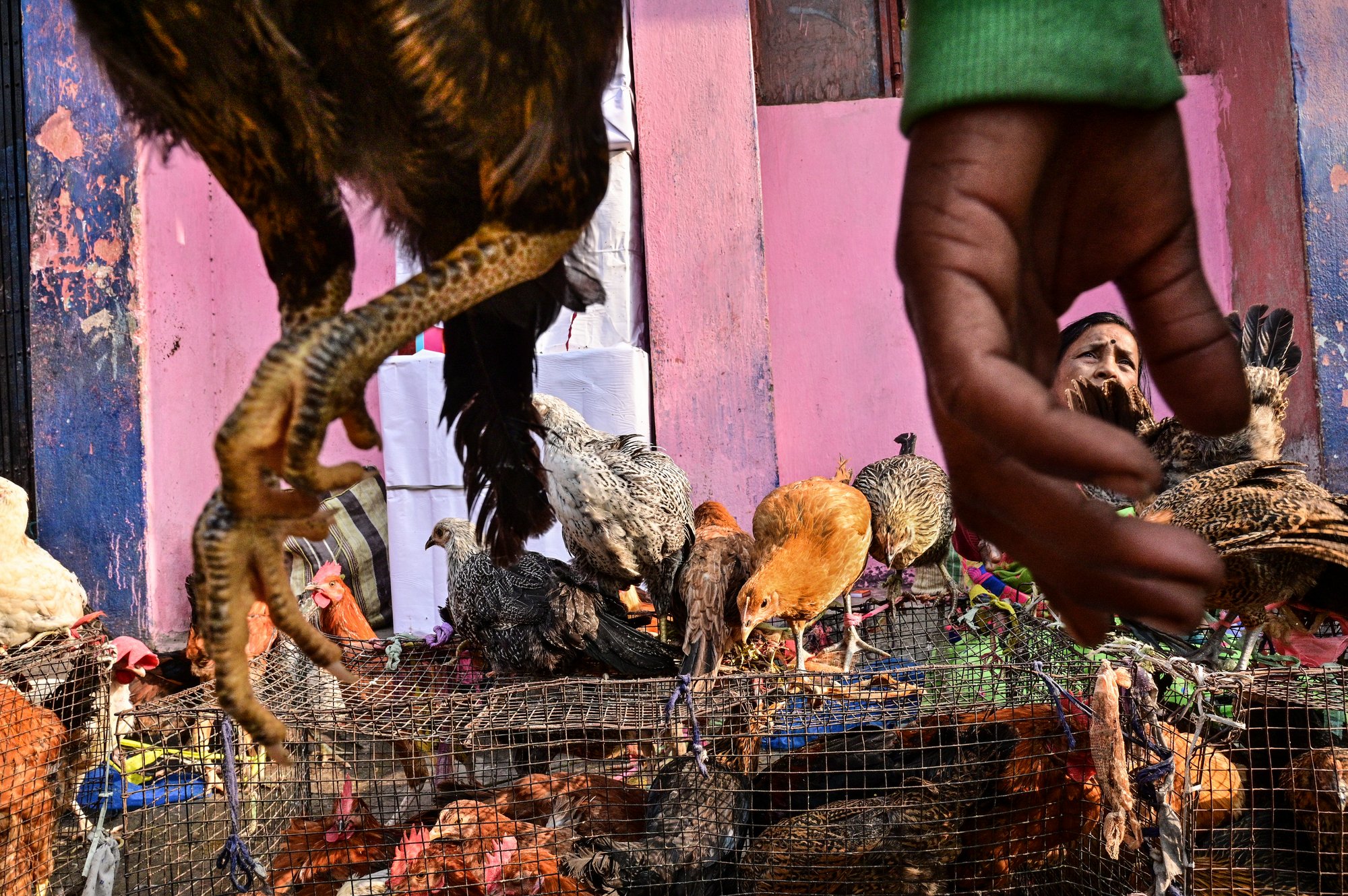 winner of photography awards
