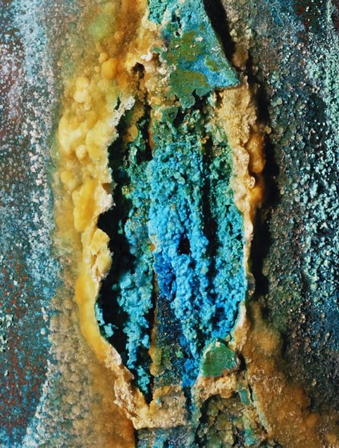 From the series Library of Dust   ©David Maisel