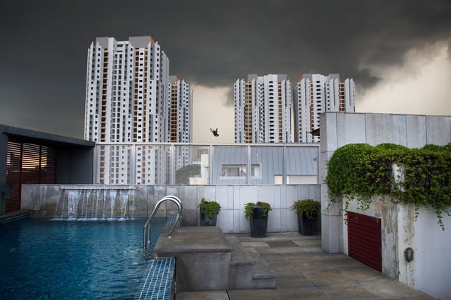 Mynah and the city of Singapore.