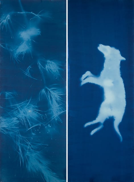 Offerings IV (Fox), 2023