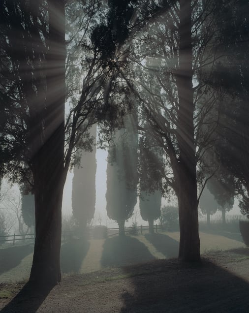 Tuscany, Italy, 2002. © Joel Meyerowitz. From the book "Where I Find Myself." Published by Laurence King.