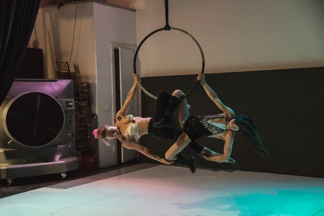 Darkness and Light, 2017