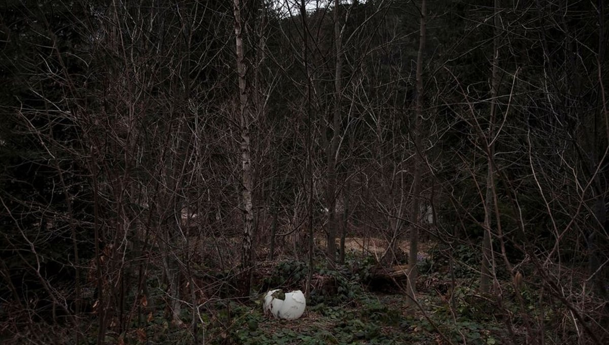 “This used to be…I don’t know how to explain it to you…this used to be Džennet. Paradise. It was a clean forest, it was wilderness, you were allowed to go anywhere, you could even sleep there, anything was possible. You bring food, water is there, and then when you go back home, along the way you can pick up all the fresh wood you want.”  Hasan (Resident of Jacerdoli)
