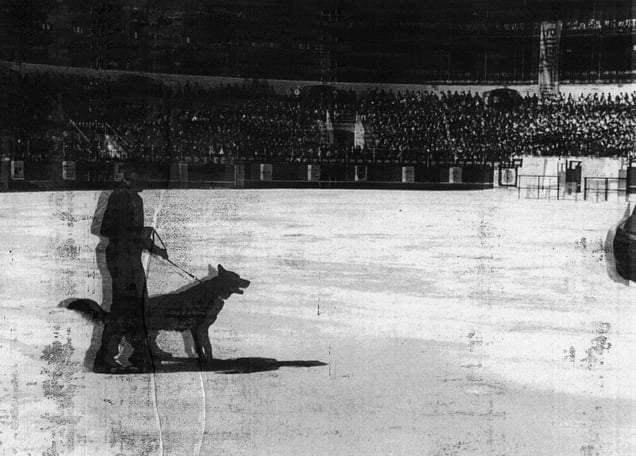 TAUROMAQUIA. Spain, 2013