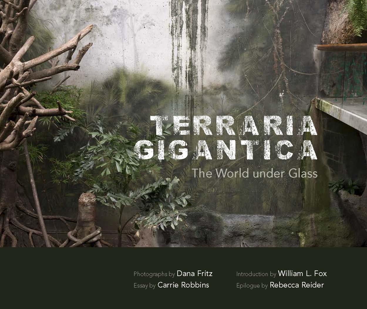 Terraria Gigantica: The World under Glass