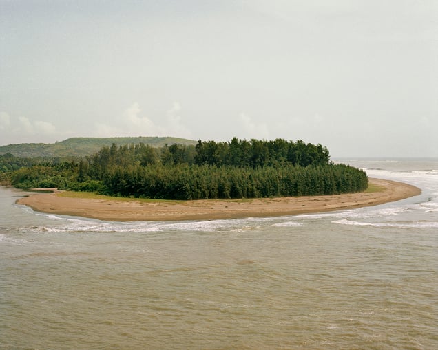 The Sea and the trees