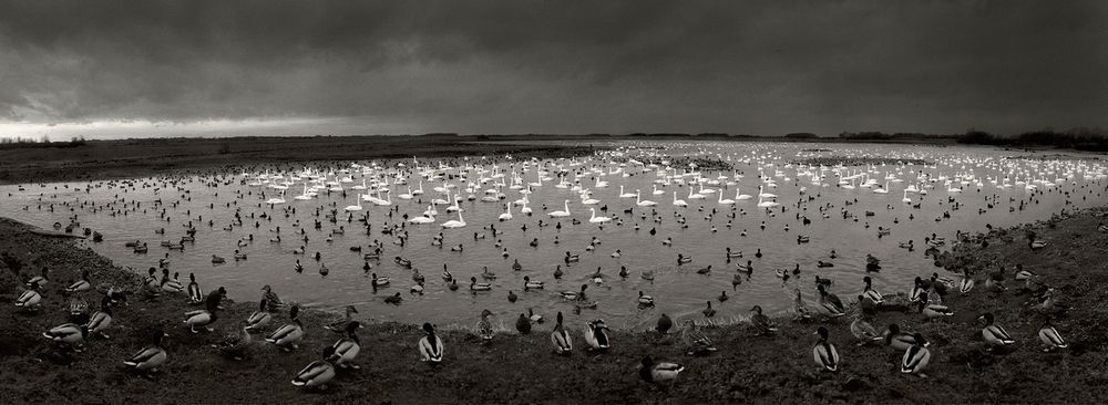アート・デザイン・音楽 here far away / pentti sammallahti PENTTI SAMMALLAHTI: Here Far Away - dewi lewis publishing
