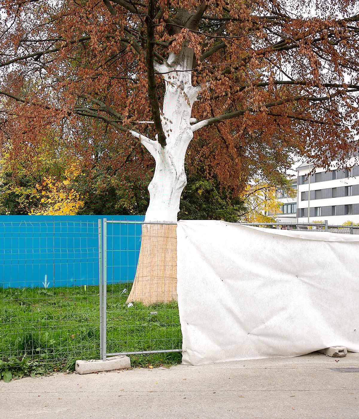 winner of photography awards