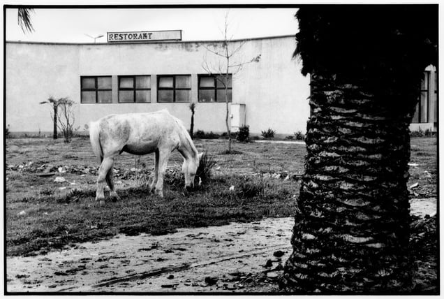 Albania, 1996
Analog photography