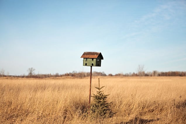 Birdhouse, 2011