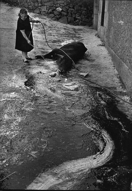Fermoselle, 1974 © Fernando Herraez
